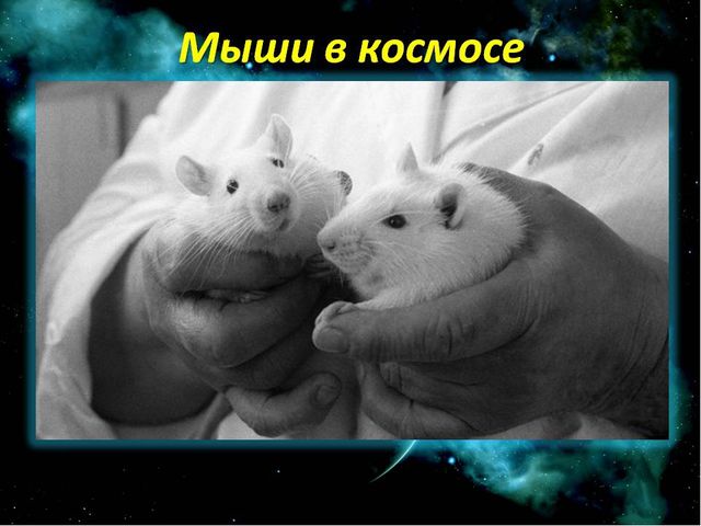 Презентация'' Знакомство с космосом'' для детей подготовительной группы.