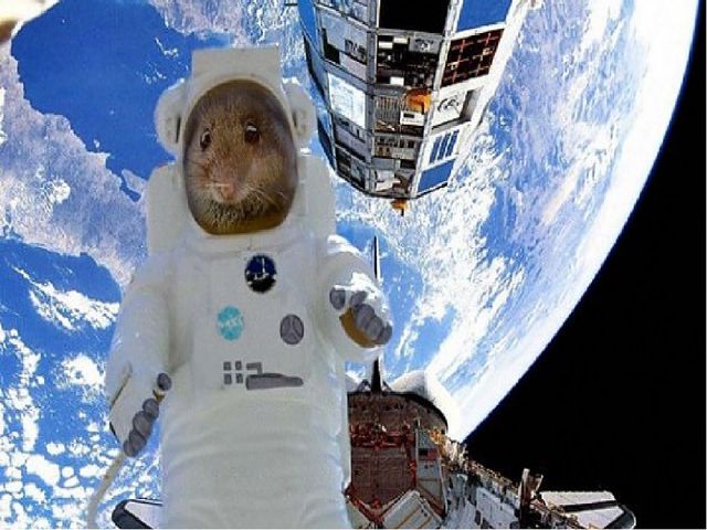 Презентация'' Знакомство с космосом'' для детей подготовительной группы.