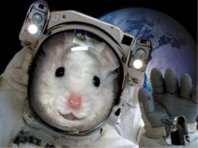 Презентация'' Знакомство с космосом'' для детей подготовительной группы.