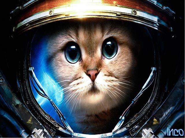 Презентация'' Знакомство с космосом'' для детей подготовительной группы.