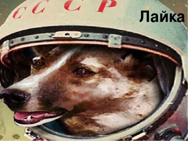 Презентация'' Знакомство с космосом'' для детей подготовительной группы.