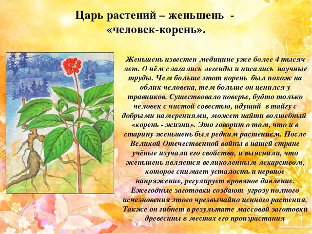 Презентация "Наш край Хабаровский"