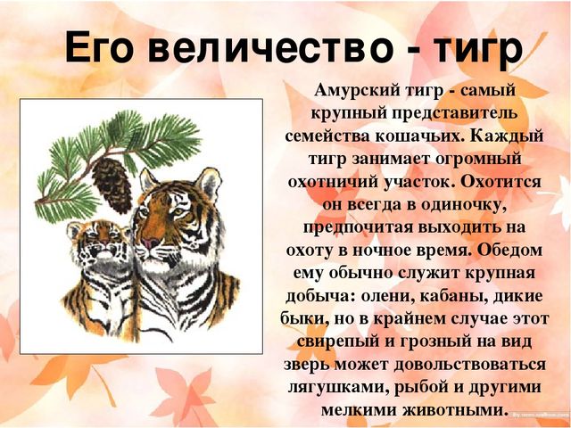 Презентация "Наш край Хабаровский"
