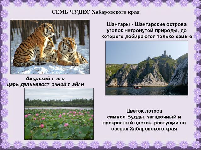 Презентация "Наш край Хабаровский"