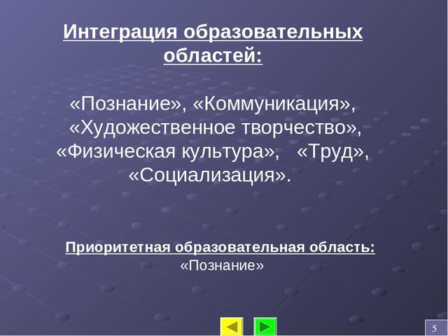 Проект по адаптации к детскому саду