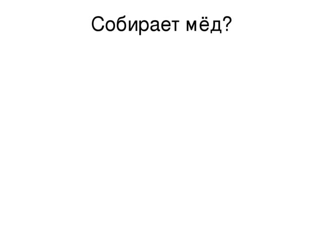 Презентация к занятию в старшей логопедической группе для детей с тнр тема: "Насекомые"