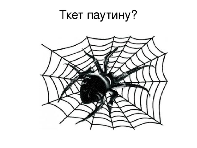 Презентация к занятию в старшей логопедической группе для детей с тнр тема: "Насекомые"
