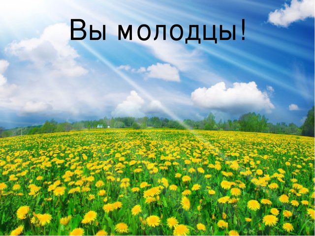 Презентация к занятию в старшей логопедической группе для детей с тнр тема: "Насекомые"