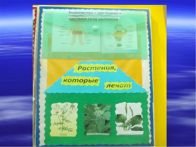 Лэпбук на тему Здоровье