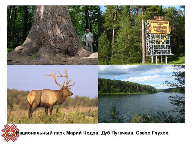 Презентация по ФЦКМ в подготовительной группе на тему "Йошкар - Ола и природные памятники РМЭ"