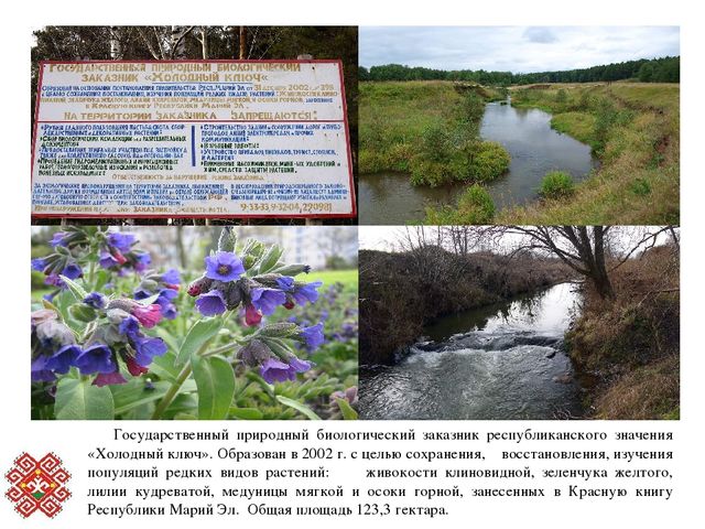 Презентация по ФЦКМ в подготовительной группе на тему "Йошкар - Ола и природные памятники РМЭ"