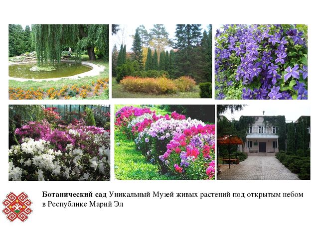 Презентация по ФЦКМ в подготовительной группе на тему "Йошкар - Ола и природные памятники РМЭ"