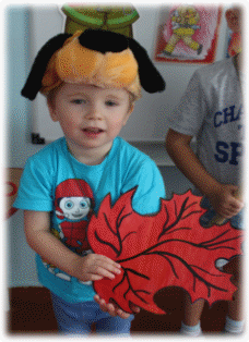 Picture 20