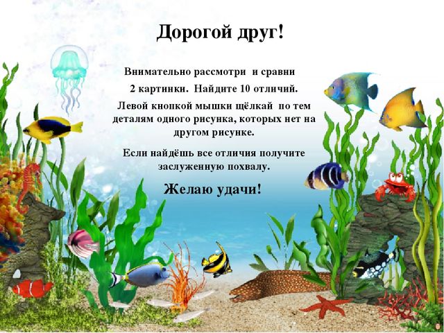 Мультимедийное дидактическое пособие "Морские обитатели" для дошкольников