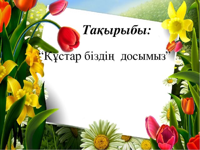 "Құстар біздің досымыз!" Жаратылыстыну