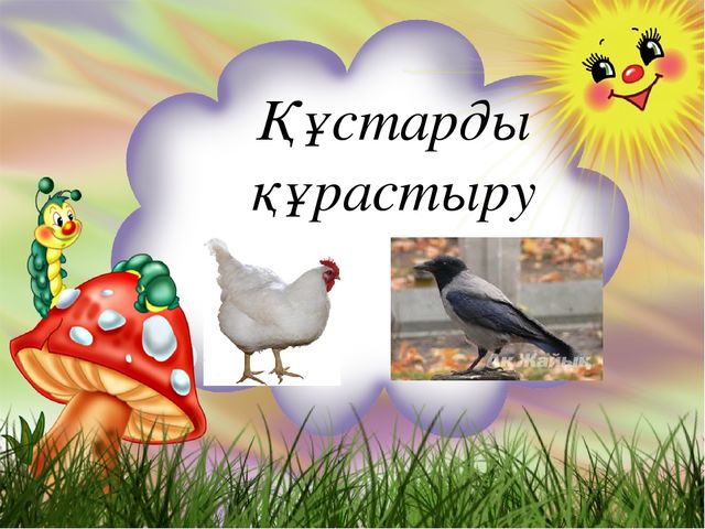 "Құстар біздің досымыз!" Жаратылыстыну