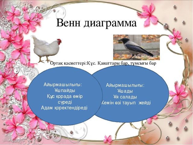 "Құстар біздің досымыз!" Жаратылыстыну