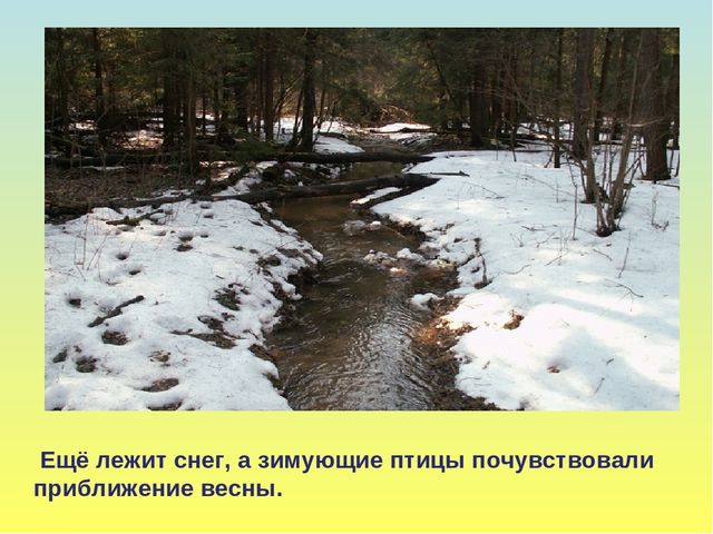 Презентация на тему Весна