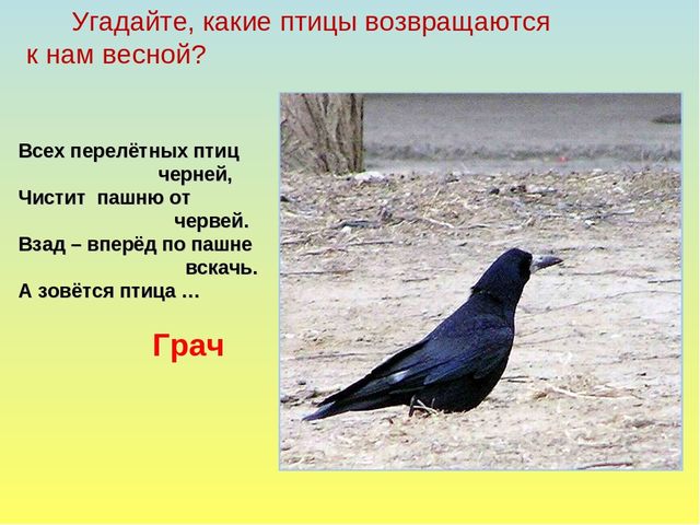 Презентация на тему Весна