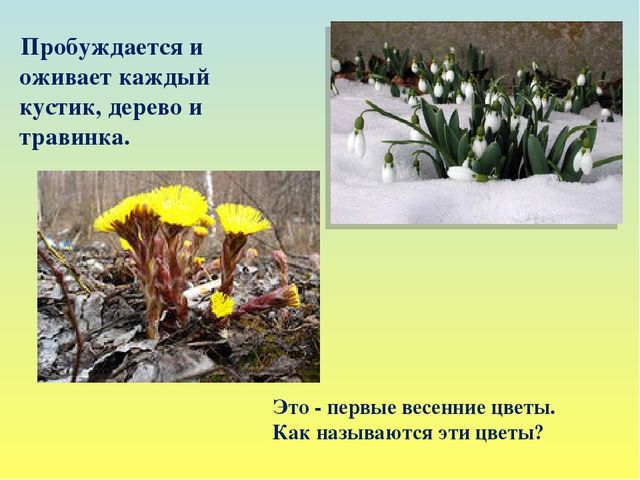Презентация на тему Весна