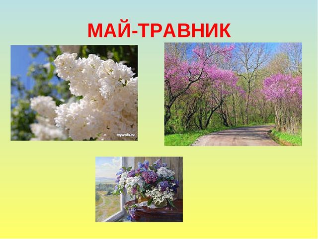 Презентация на тему Весна
