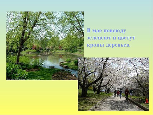 Презентация на тему Весна