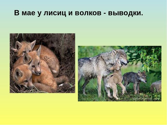 Презентация на тему Весна