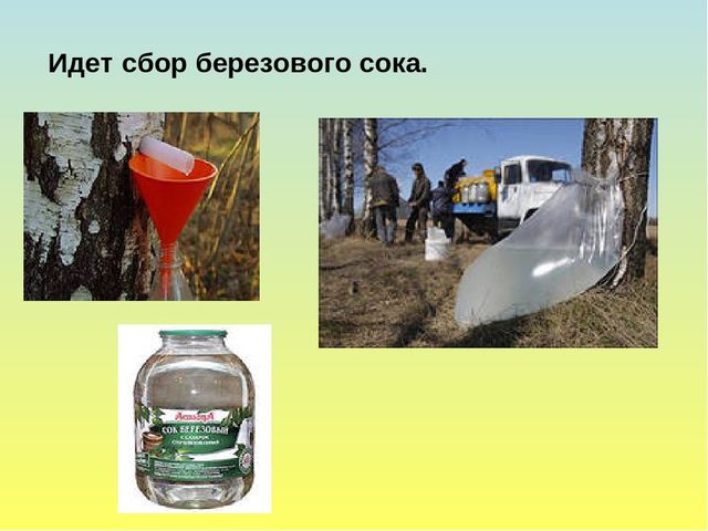 Презентация на тему Весна