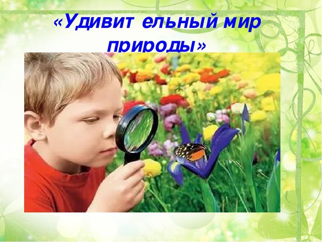 Интеллектуальный конкурс Умницы и умники