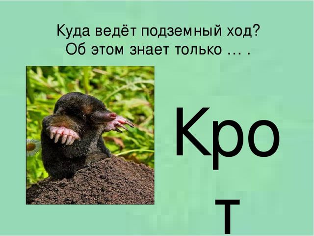 Презентация для подготовки дошкольников к школе. Занятие 7