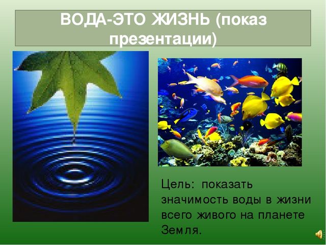 Презентация "опытно-экспериментальная деятельность в средней группе".