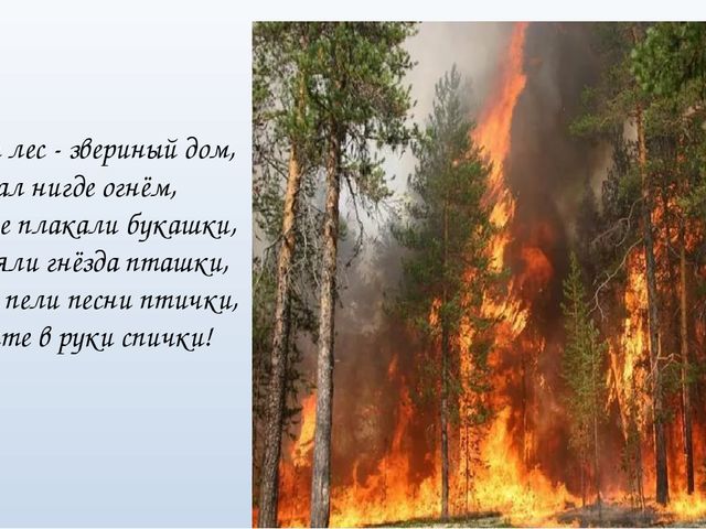 Презентация к занятию "Осторожно пожар!"
