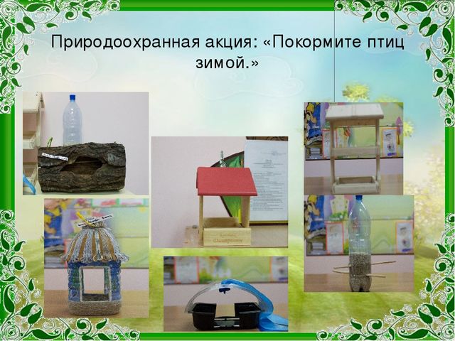 Презентация проекта "Край Соловьиный"