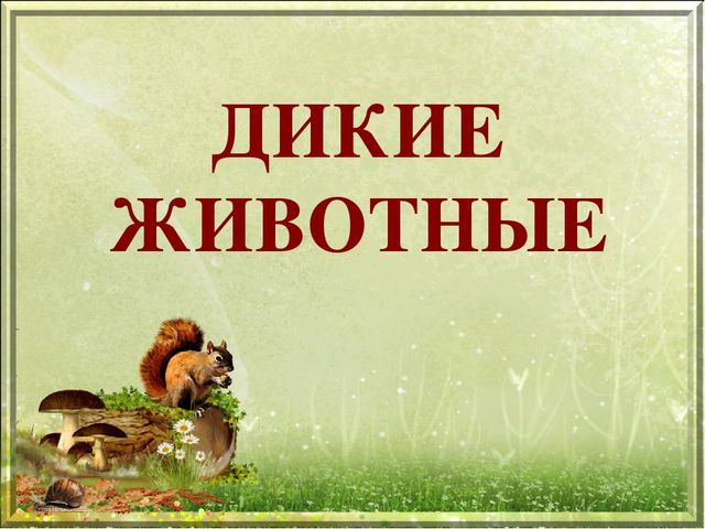 Презентация для дошкольников "Дикие животные"