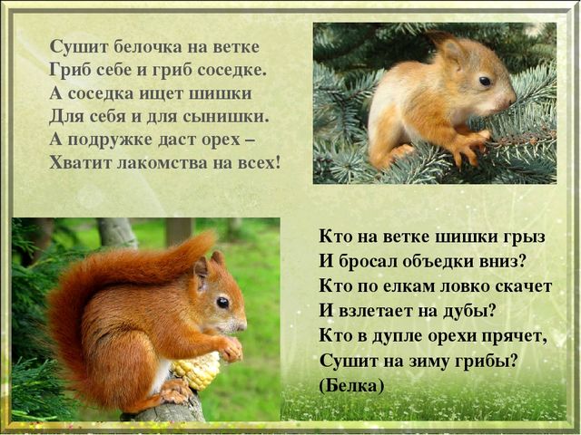 Презентация для дошкольников "Дикие животные"