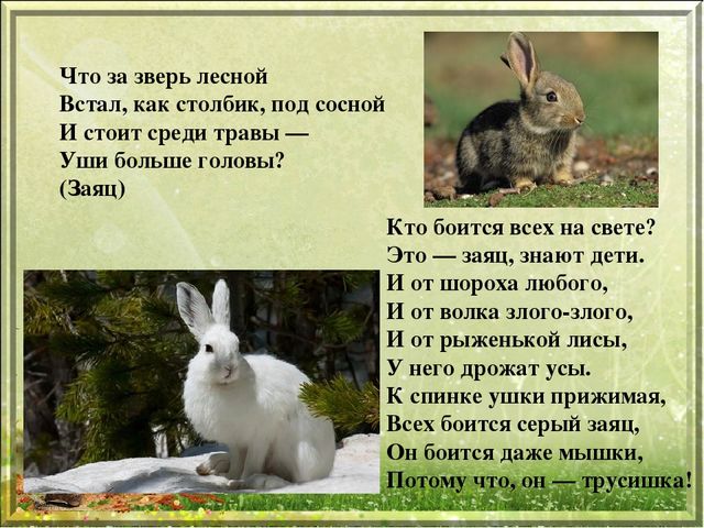 Презентация для дошкольников "Дикие животные"