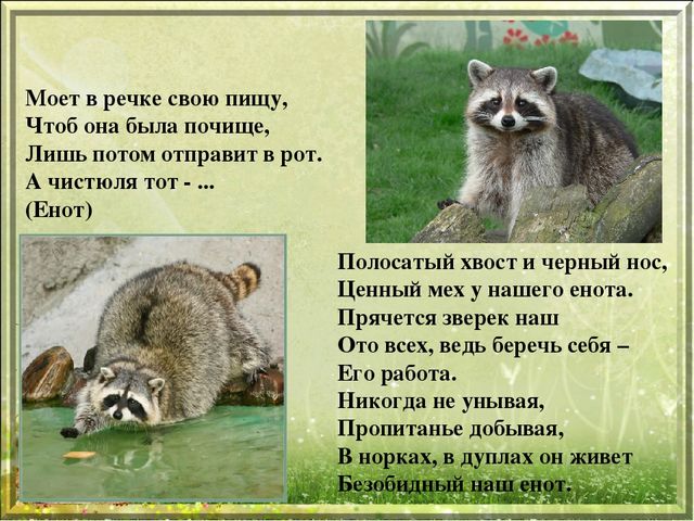 Презентация для дошкольников "Дикие животные"