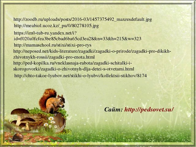 Презентация для дошкольников "Дикие животные"