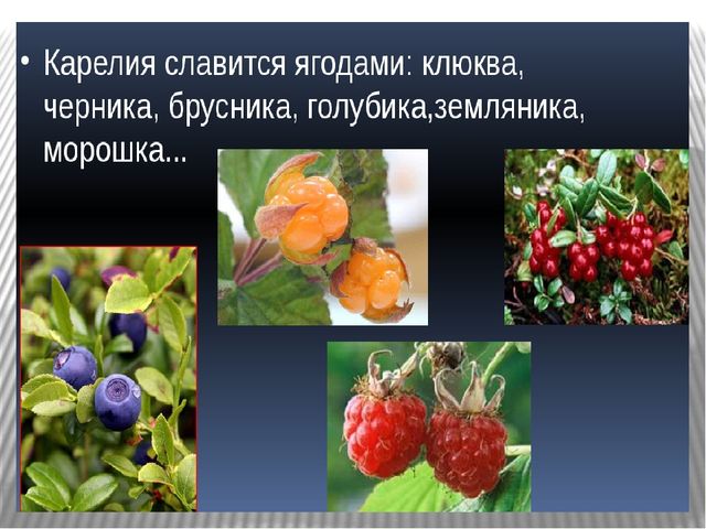 Презентация к уроку " Лесные ягоды Карелии"