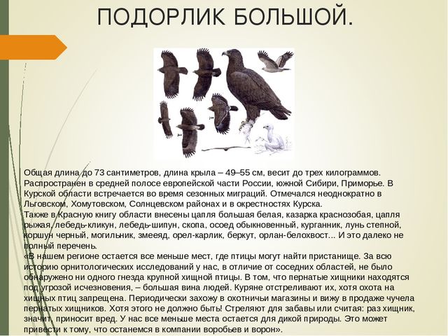 Презентация для дошкольников " Красная книга Курской области"