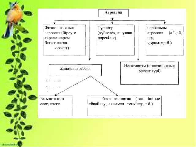Баяндама "Мектеп жасына дейінгі балалардың агрессиялы психологиялық дамуы"