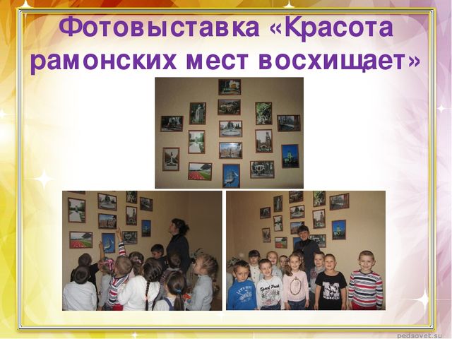 Проект "Есть городок под Воронежем"