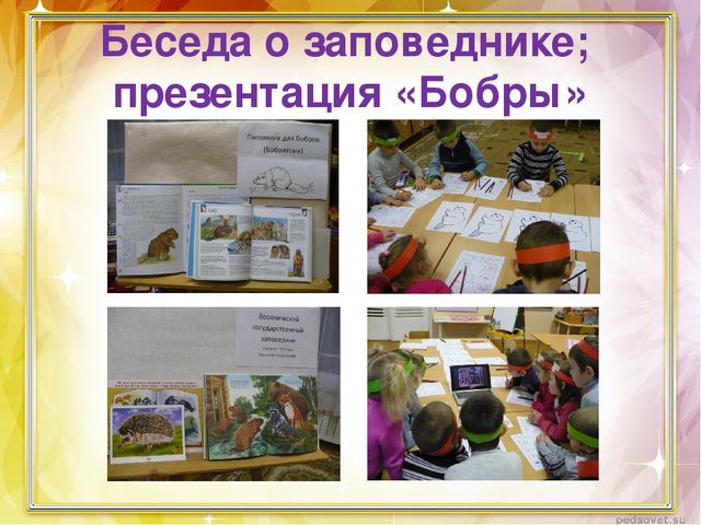 Проект "Есть городок под Воронежем"