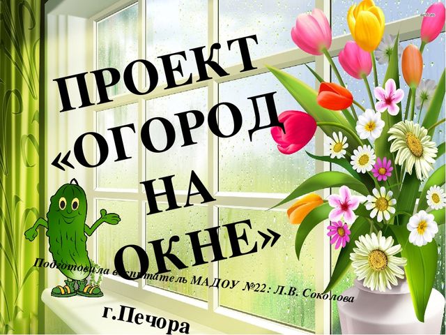 Презентация проекта "Огород на окне"