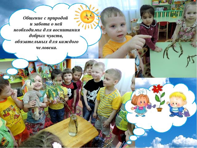 Презентация проекта "Огород на окне"