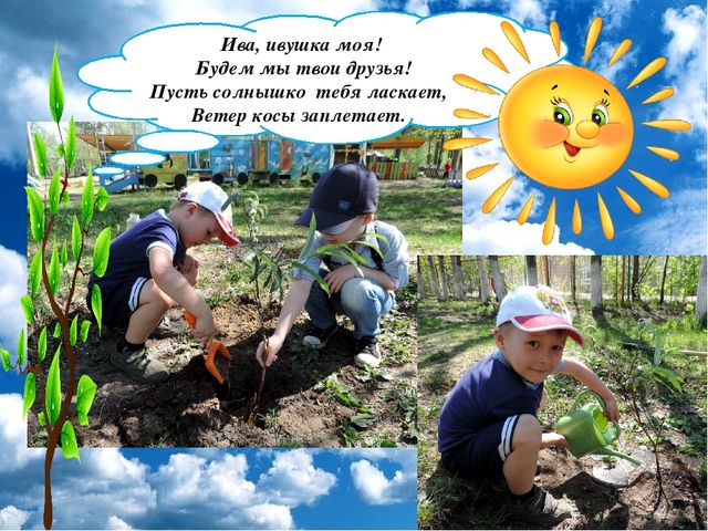 Презентация проекта "Огород на окне"