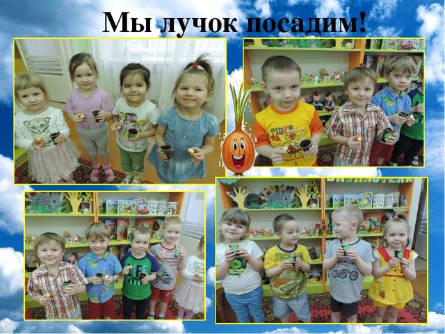 Презентация проекта "Огород на окне"