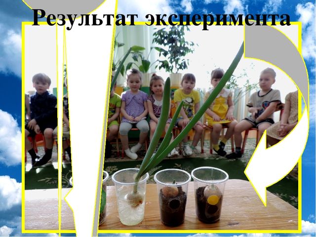 Презентация проекта "Огород на окне"