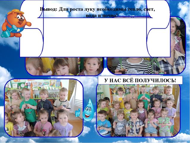Презентация проекта "Огород на окне"