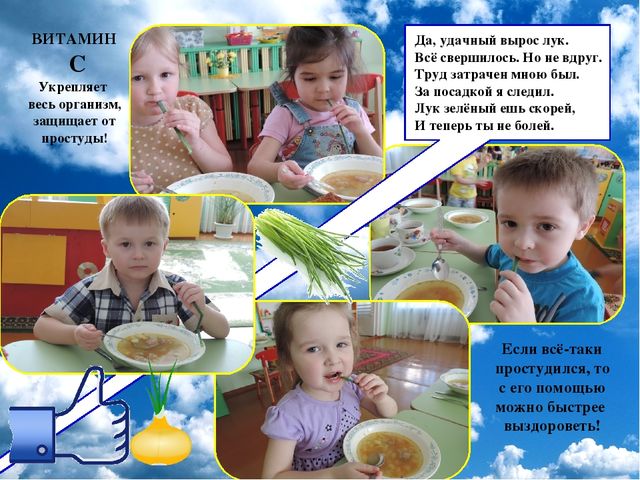 Презентация проекта "Огород на окне"